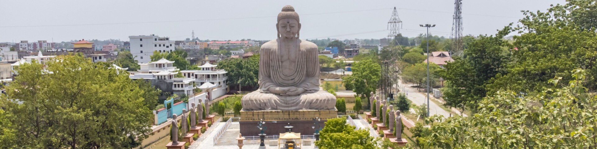 A large Buddha statue surrounded by trees and buildings.