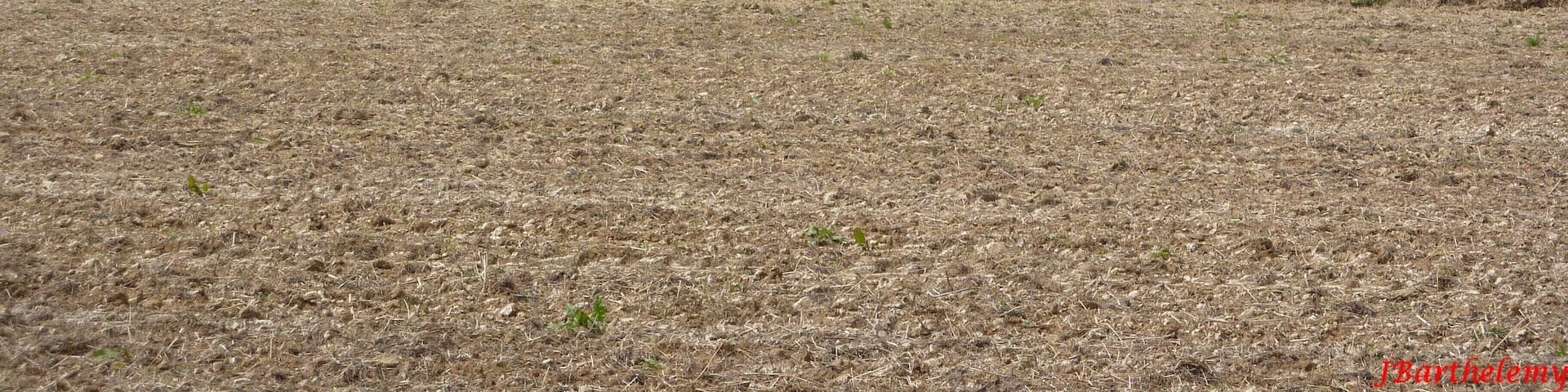 Vue sur Audincourt et Valentigney