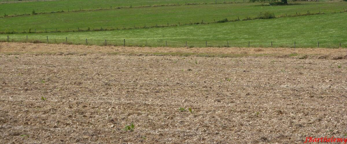 A rural landscape with fields, a hill, and buildings in the distance.