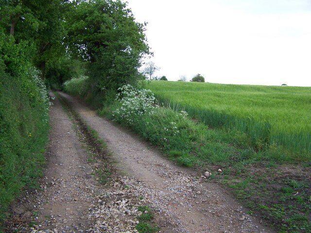 Farm track Looking due south along the beautiful tree lined farm track that eventually leads to Walnut Tree Farm, off Thorington Road.
