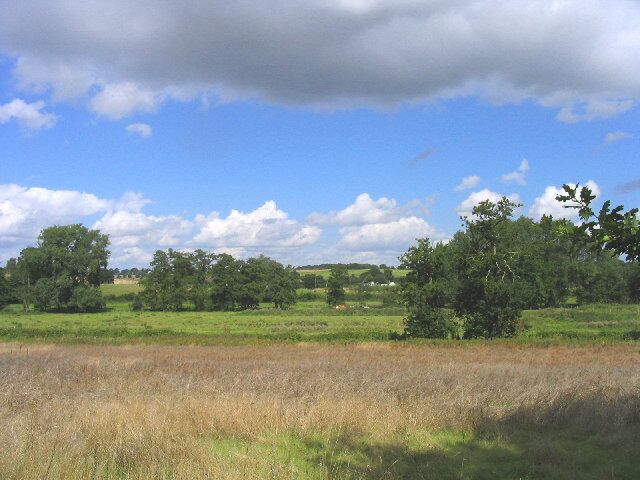 Meadows near Bramfield, Suffolk. Traditional flood meadows north of Thorington Road, Bramfield