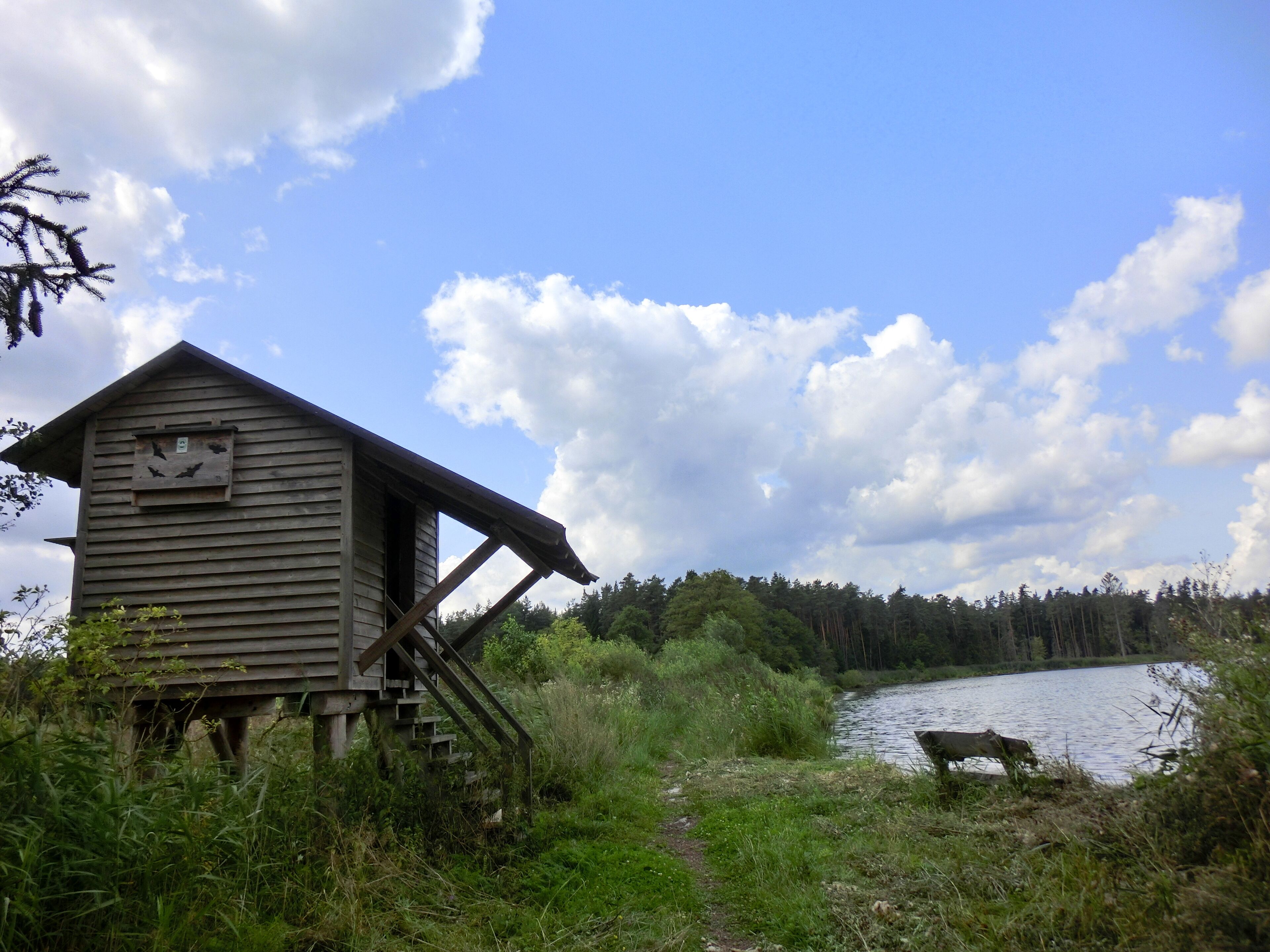 Vogelbeobachtungsstation Rußloheweiher