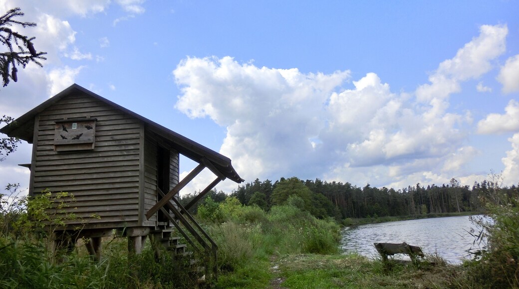 Vogelbeobachtungsstation Rußloheweiher
