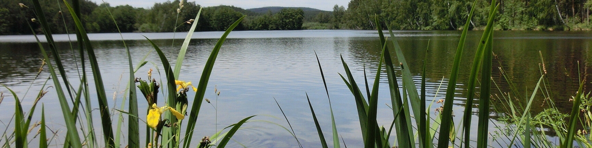Kulmbergweiher 2