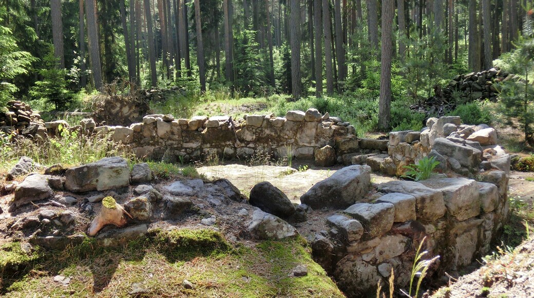 Ausgrabungsstelle Bienstube