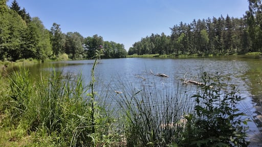 Schlammersdorfer Weiher 1