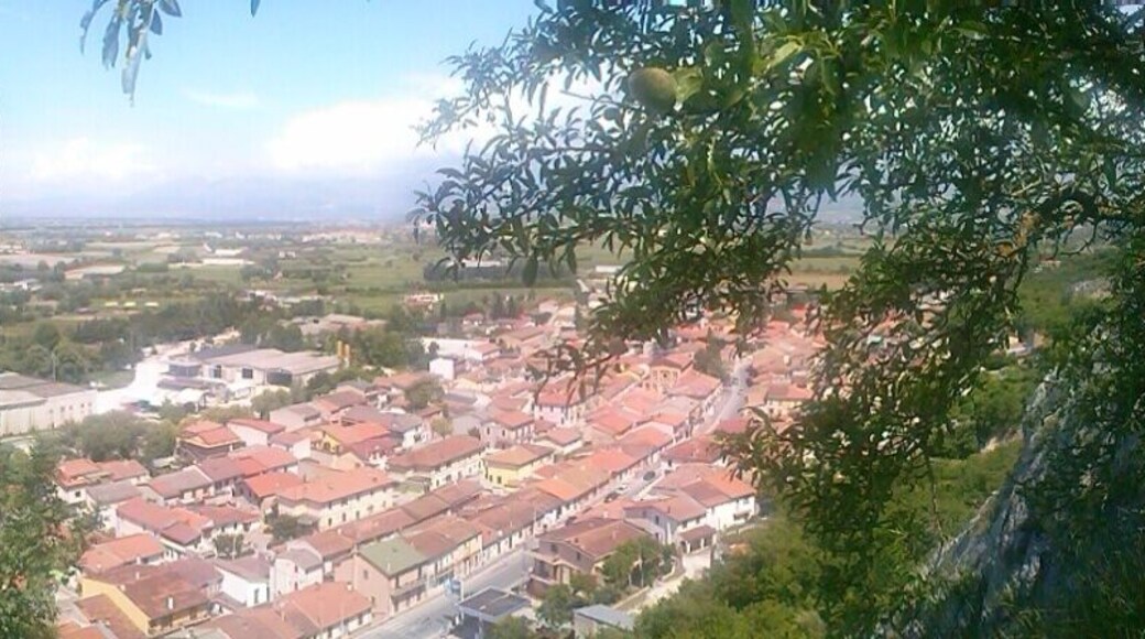 Panoramica dalla torre