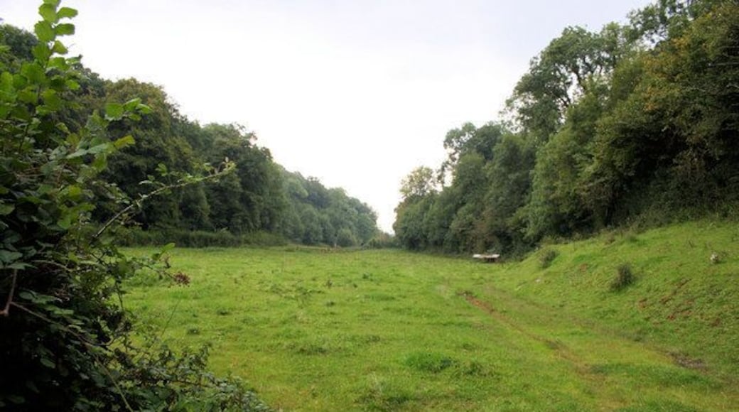 Valley Floor Looking south along a valley north of Torbryan; Clennonpark Wood is on the right.