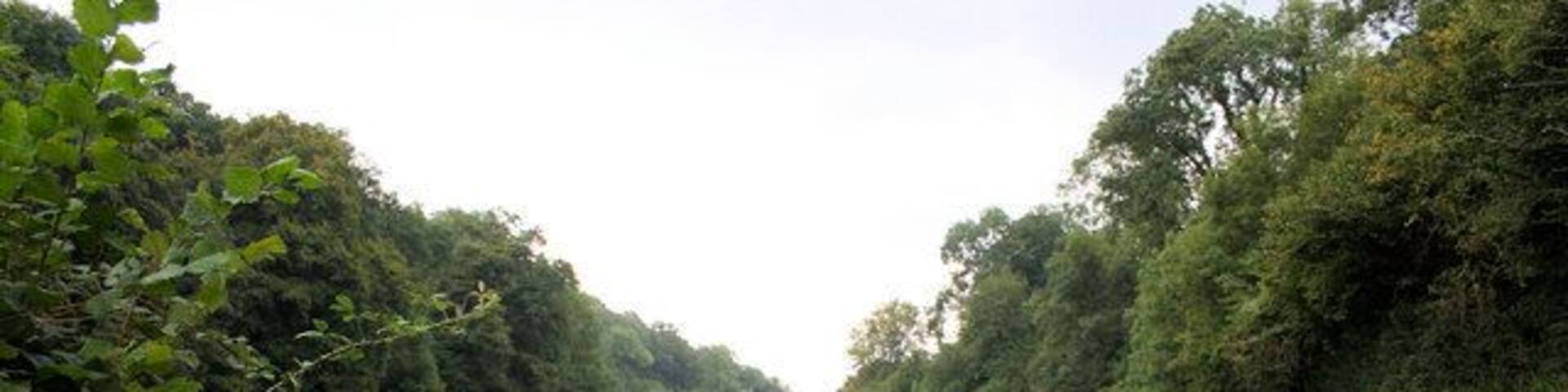 Valley Floor Looking south along a valley north of Torbryan; Clennonpark Wood is on the right.