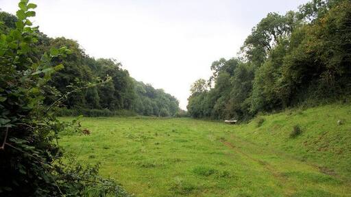 Valley Floor Looking south along a valley north of Torbryan; Clennonpark Wood is on the right.