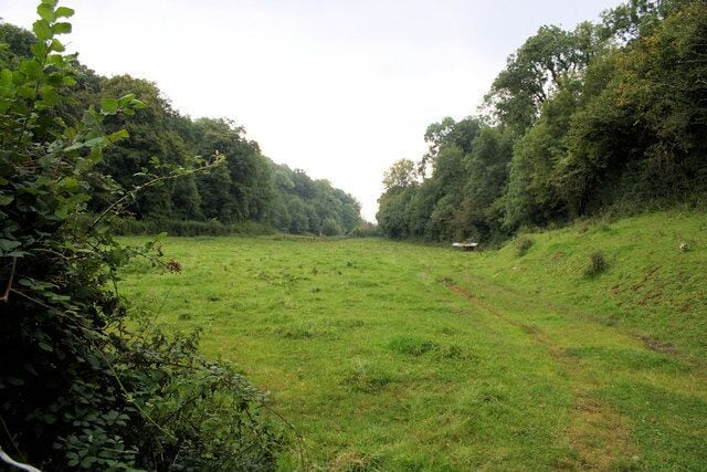 A grassy field with a dirt path leading through it, surrounded by dense trees.
