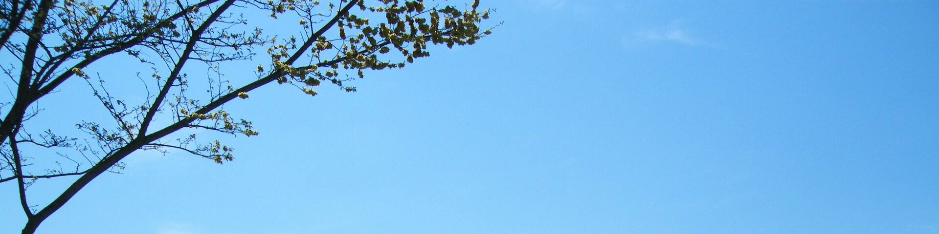 Lago del Salto - provincia di Rieti