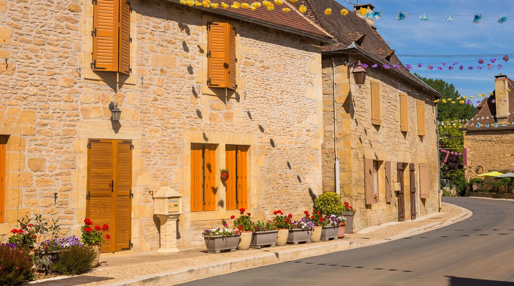 Saint-Leon-sur-Vezere