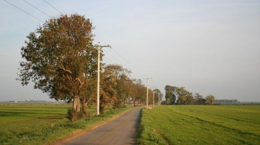 Long Drove On Rippingale Fen