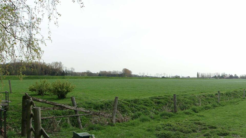 A green field with a fence, trees, and cooling towers in the distance.