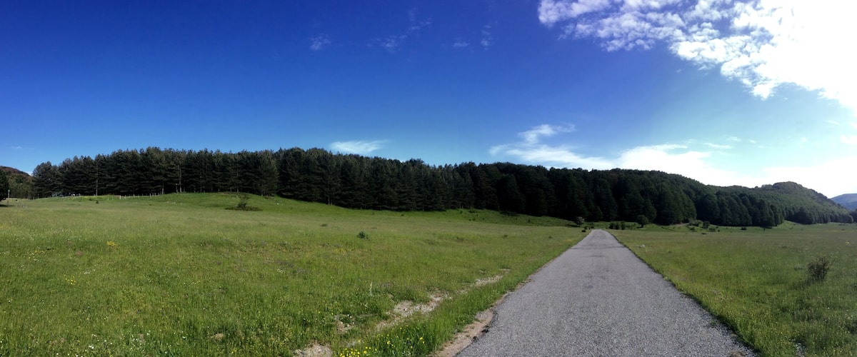 A paved path through a grassy field with a forested hill in the distance and a clear blue sky.