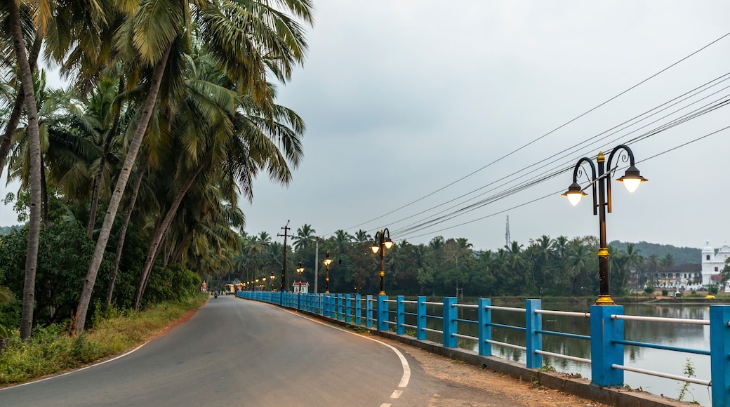 St Alex Church, Maina Curtorim
A beautiful Church by the lake.