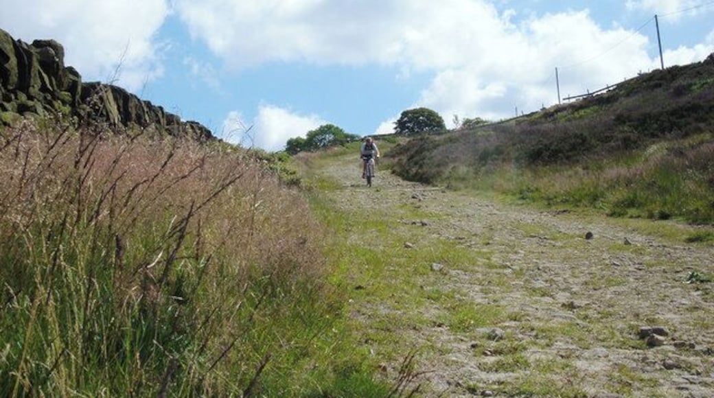 Lark Hill Road, Delph This is the section of Lark Hill Road that runs westwards off Harrop Edge. The track is very steep with a surface of loose rocks - quite a challenge on a bicycle. However, the surface improves slightly near to its junction with the A62, Huddersfield Road at Larkwood.