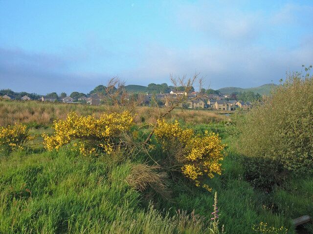 Valley of Hull Brook Looking southwest towards the outskirts of Delph (visible in the distance)from the footpath linking the village with the Castleshaw reservoirs.