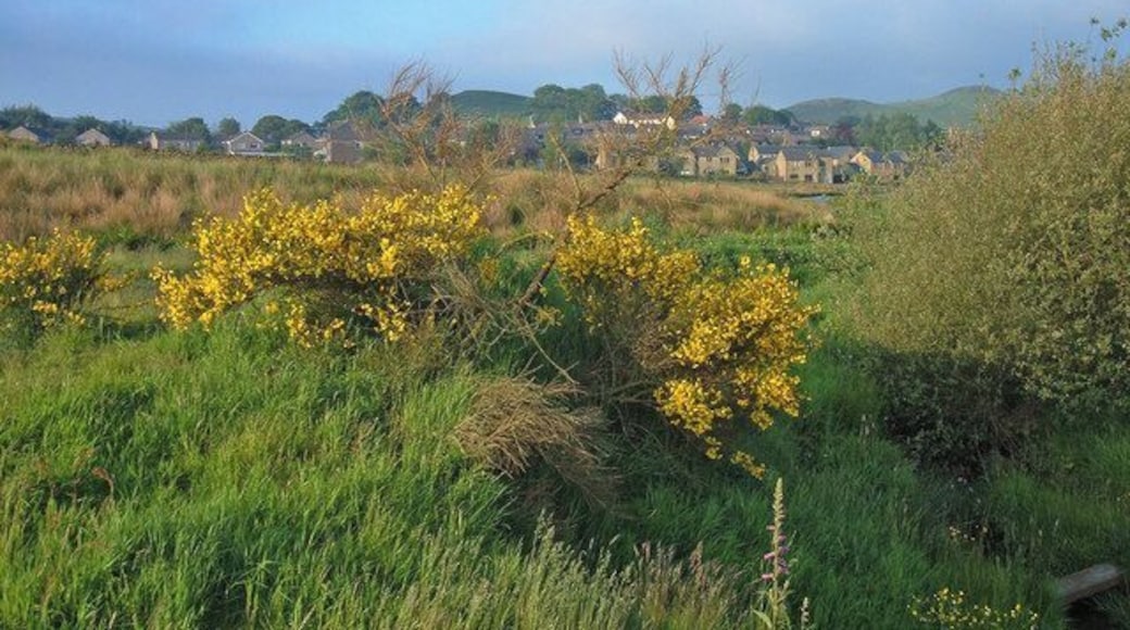 Valley of Hull Brook Looking southwest towards the outskirts of Delph (visible in the distance)from the footpath linking the village with the Castleshaw reservoirs.