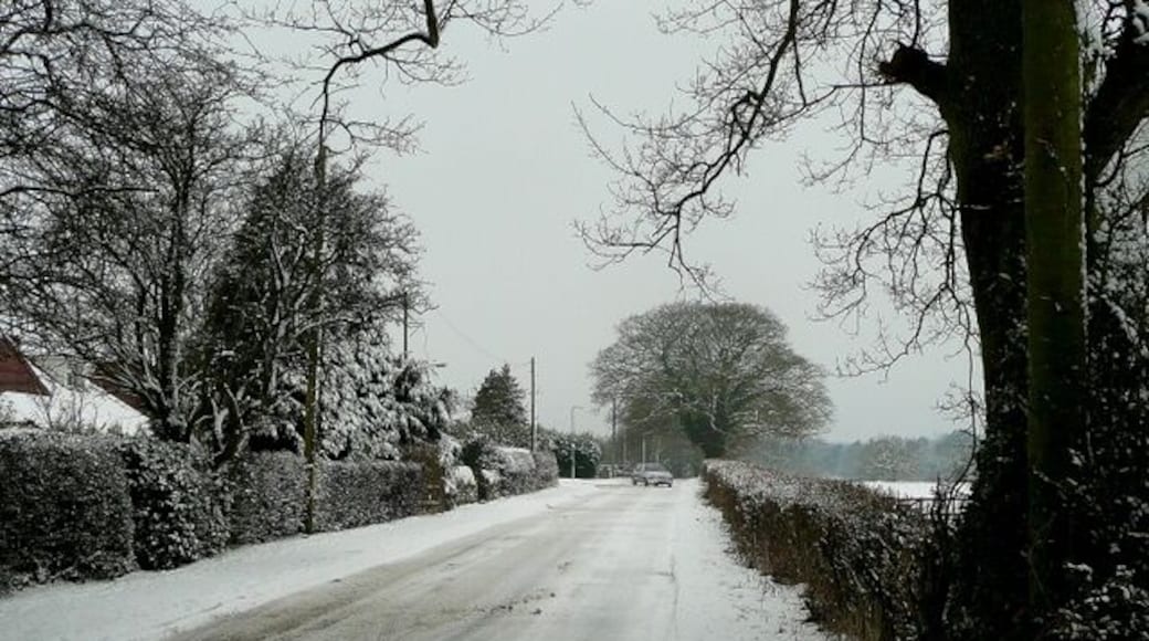 Gorsey Lane, Wythall Looking north-west from near the junction with Station Road.