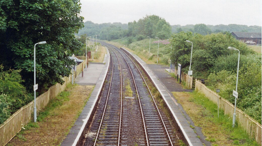 Earlswood West Midlands station, 1994. View SE, towards Stratford-on-Avon etc.: ex-GWR Birmingham Snow Hill - Henley-in-Arden - Stratford etc. line. Named 'Earlswood Lakes' until 6/5/74, 'West Midlands' added c.1979