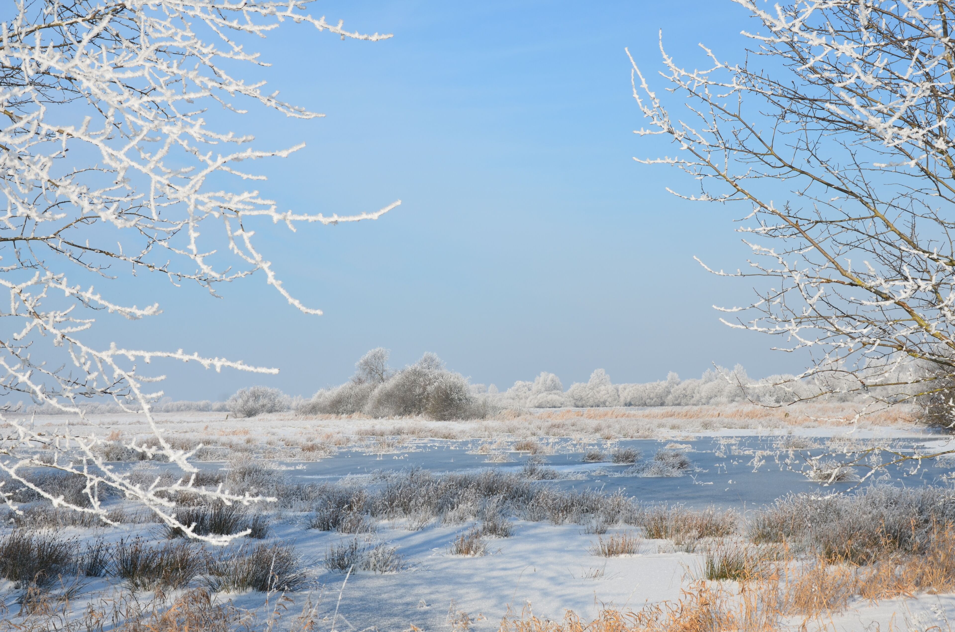 "Fischerhuder Wümmeniederung" nature reserve in Ottersberg (Germany) – Also the Wümme Meadows enjoy the winter, a view from the "Jürgensgraben" at the border between Bremen and Lower Saxony in January 2016
