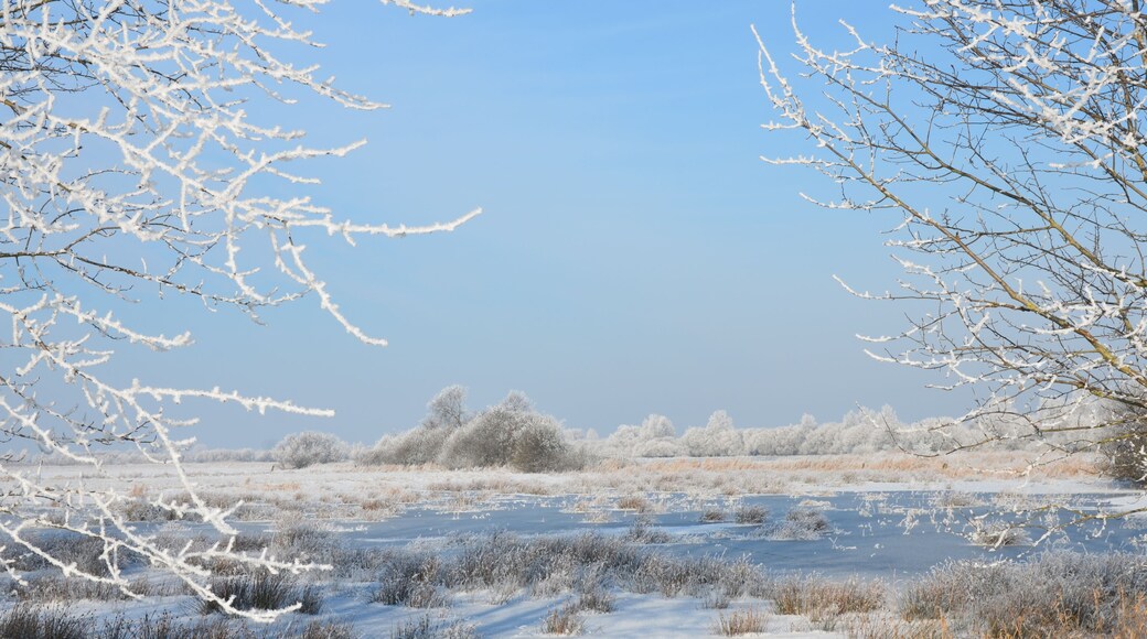 "Fischerhuder Wümmeniederung" nature reserve in Ottersberg (Germany) – Also the Wümme Meadows enjoy the winter, a view from the "Jürgensgraben" at the border between Bremen and Lower Saxony in January 2016