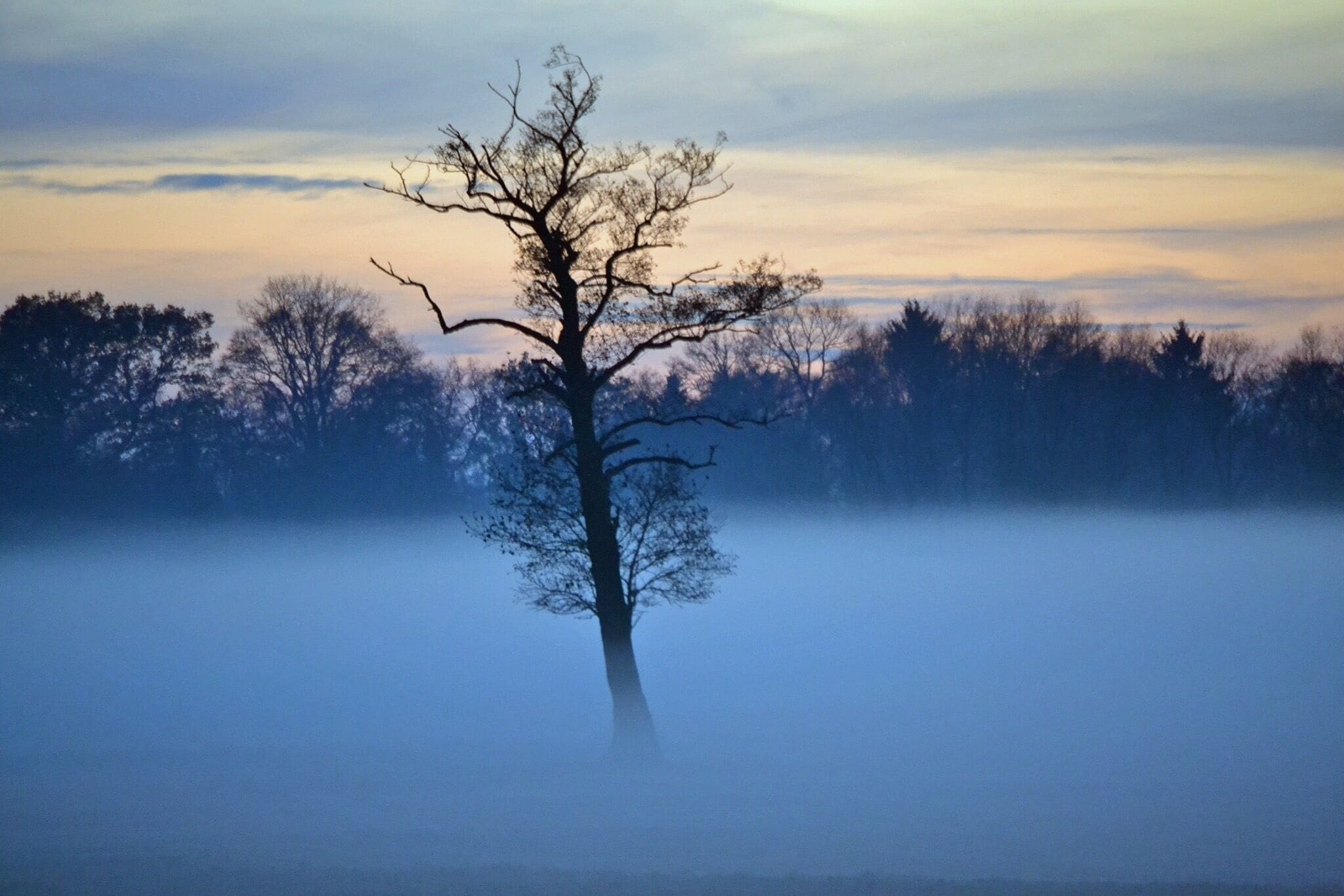 Arrondissement de Verden