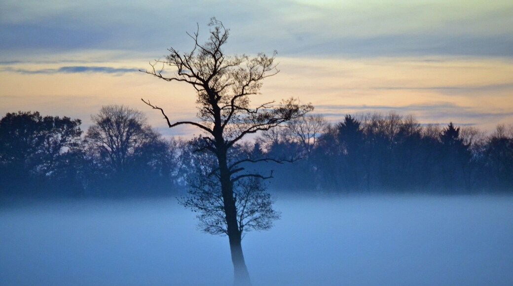 Arrondissement de Verden