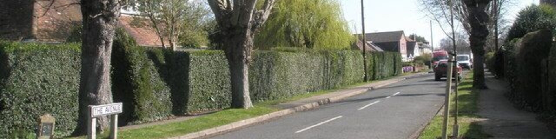 Looking eastwards along The Avenue