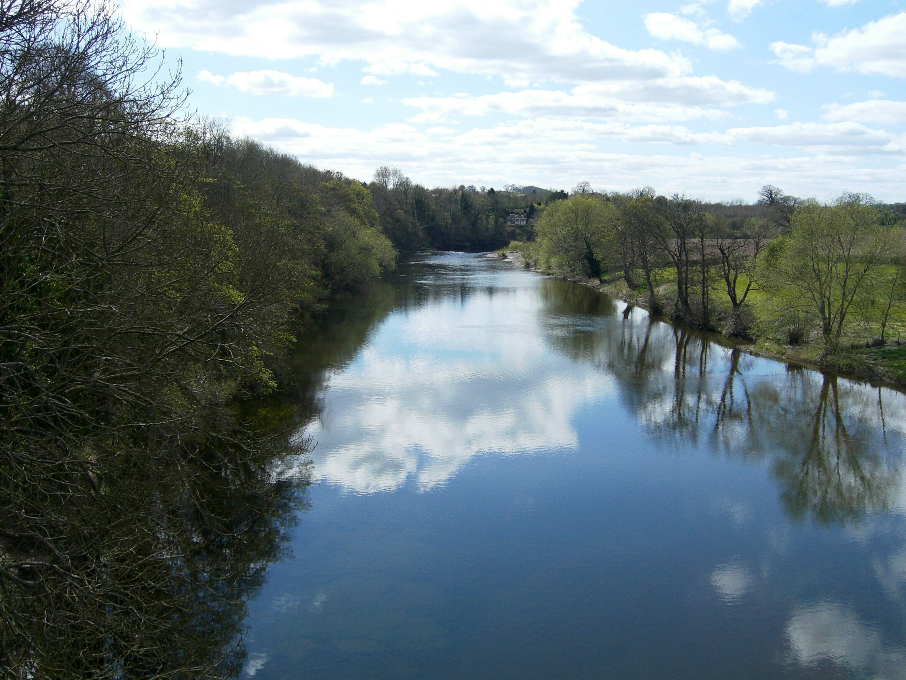 A river flanked by trees and a bridge in the distance.