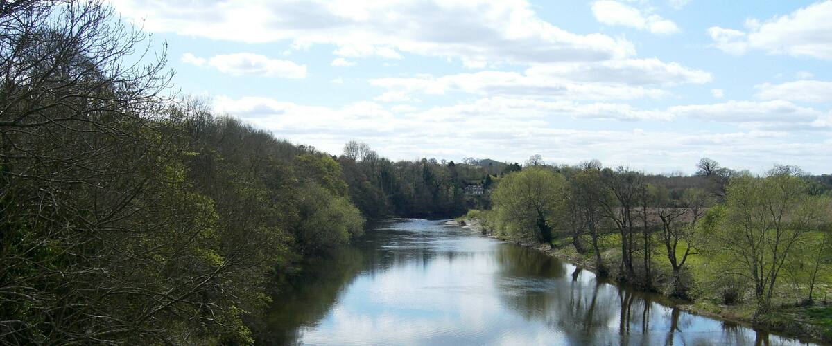 A river flanked by trees and a bridge in the distance.