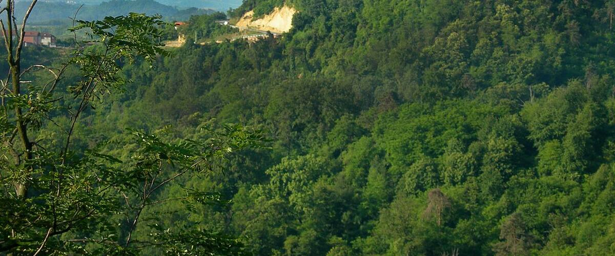 Il castello di Monteu Roero visto da Santo Stefano Roero (the Castle of Monteu Roero view from Santo Stefano Roero