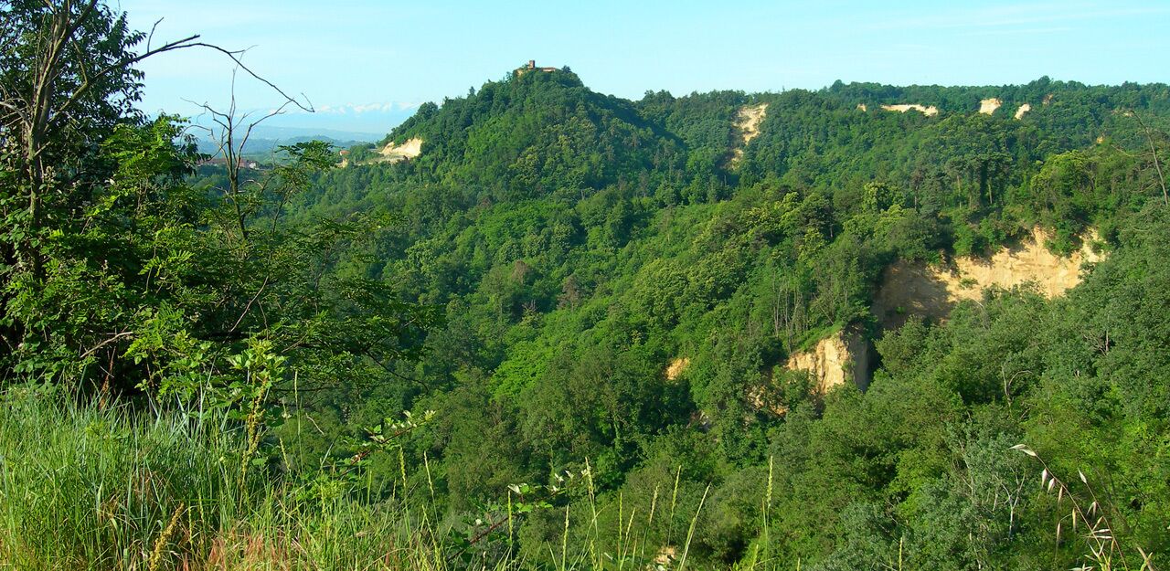 A lush green forested mountain with a small building on top.