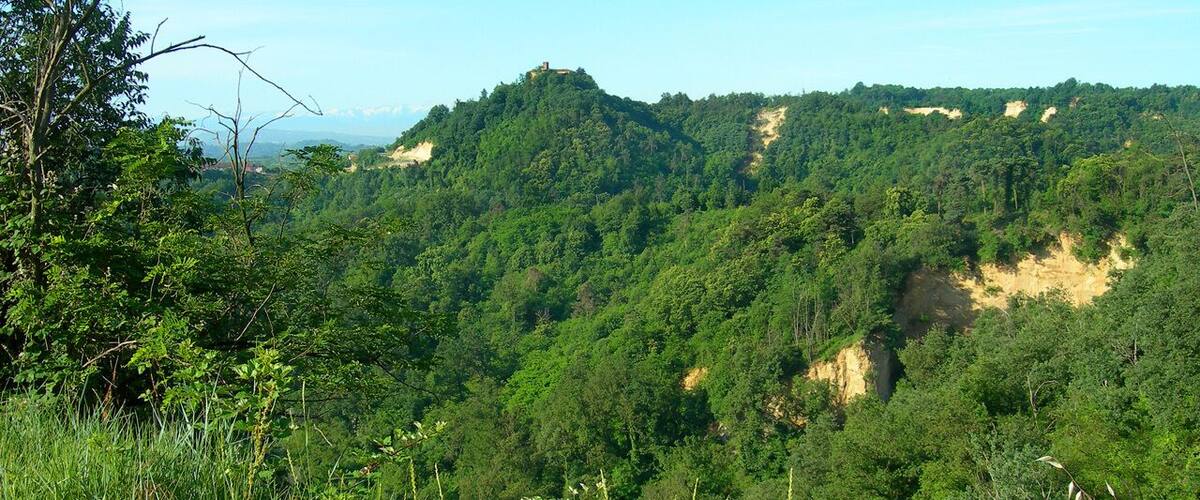 A lush green forested mountain with a small building on top.