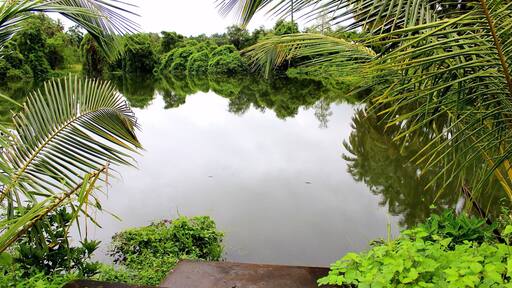 The stairway to a peaceful backwater, surrounded with lush green beauty amid the fresh monsoon air. Goa's real beauty can be seen in the monsoons. Read my story of a different Goa I experienced on my solo trip to the laid back village of Goa. http://shoe-bite.com/2014/11/24/i-had-my-fears-until-i-went-solo/ #travel #photography
