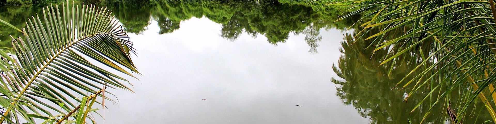 The stairway to a peaceful backwater, surrounded with lush green beauty amid the fresh monsoon air. Goa's real beauty can be seen in the monsoons. Read my story of a different Goa I experienced on my solo trip to the laid back village of Goa. http://shoe-bite.com/2014/11/24/i-had-my-fears-until-i-went-solo/ #travel #photography
