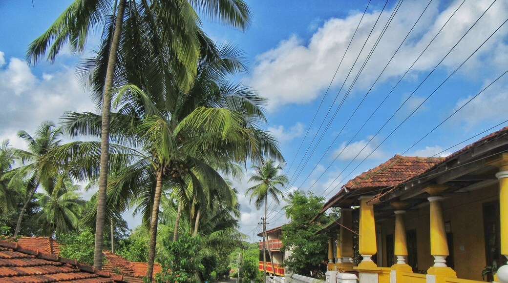 Chasing monsoons in Aldona!
.
.
You know Aldona is said to be the prettiest village in Goa, I don't how it got this title but I exactly know why.
Riding through the never ending narrow lanes of this sleepy village was our best attempt at making a connection with the less explored part of the town.