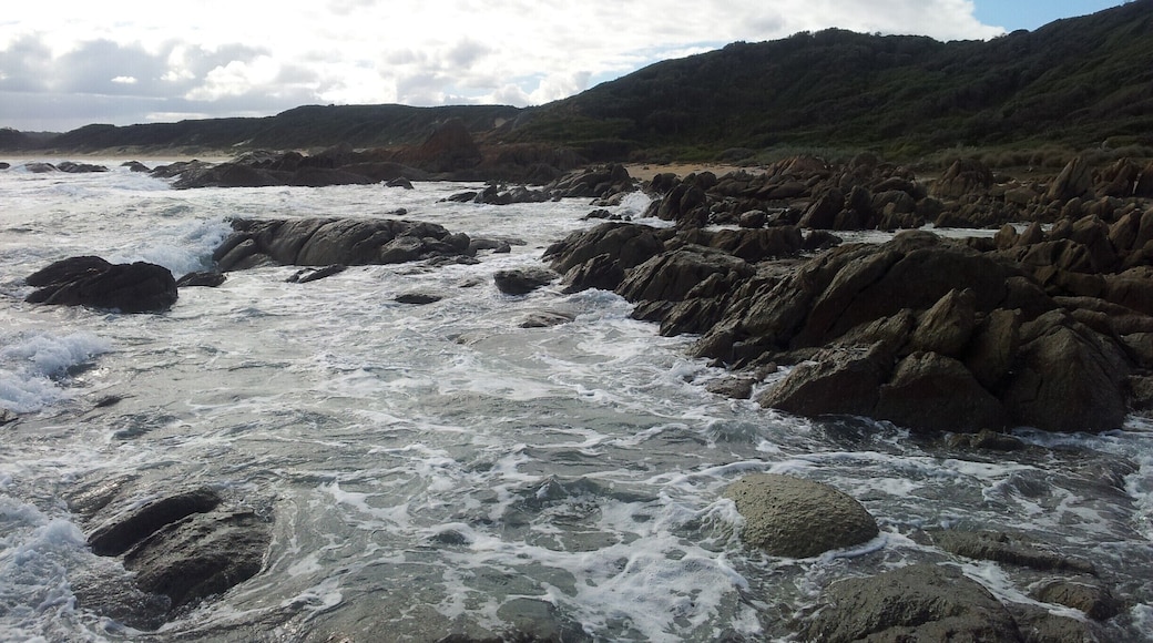 Nation park tucked away in the far east of the state of victoria in Australia. Rugged and amazing coastline.
#beach, #coast, #australia, #cape conron
www.wyldfamilytravel.com