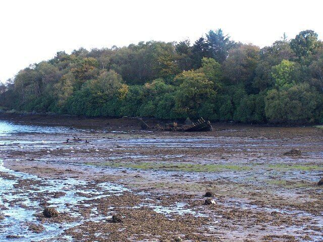 Old Shipwreck at Camsail Bay. Part of Roseneath bay