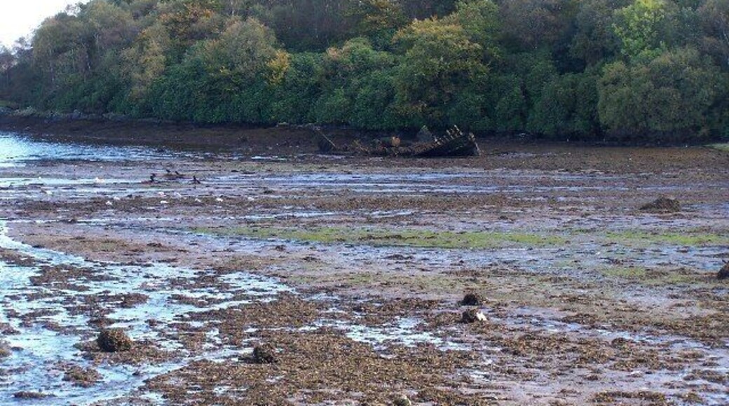 Old Shipwreck at Camsail Bay. Part of Roseneath bay