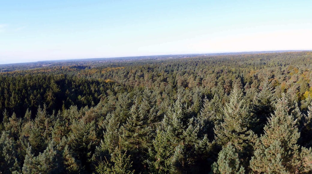 Blick vom Hahnheider Turm Richtung Norden