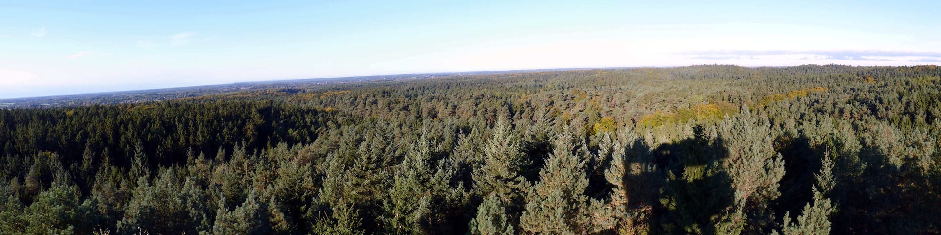 Blick vom Hahnheider Turm Richtung Norden
