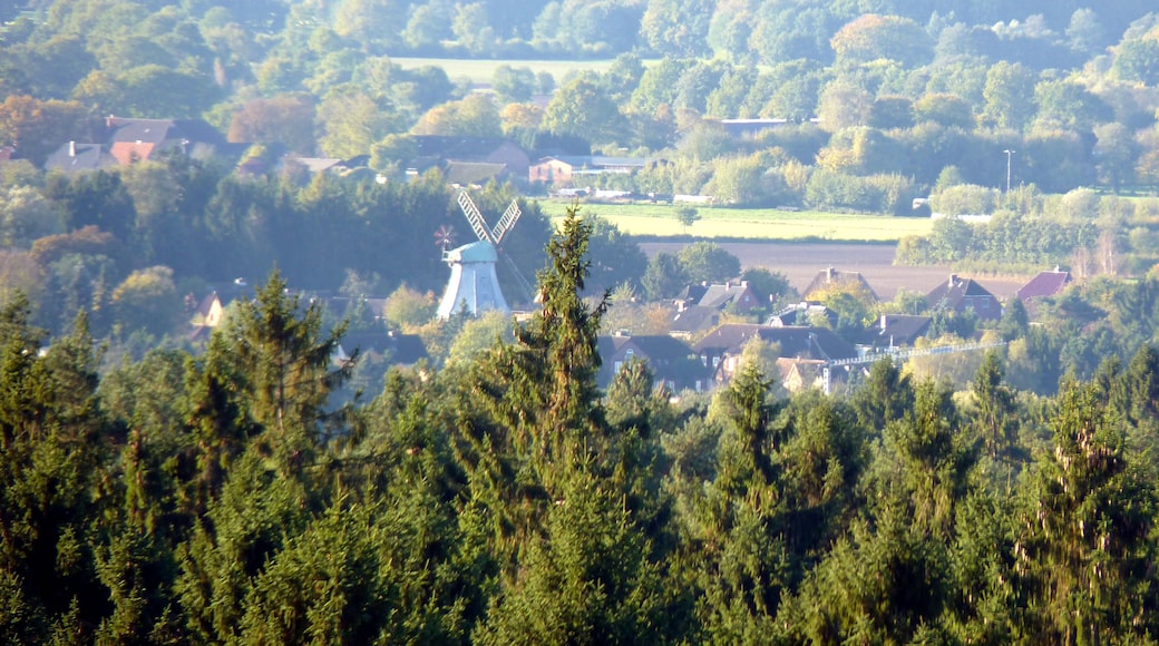 Blick vom Hahnheider Turm auf die Mühle in Hamfelde