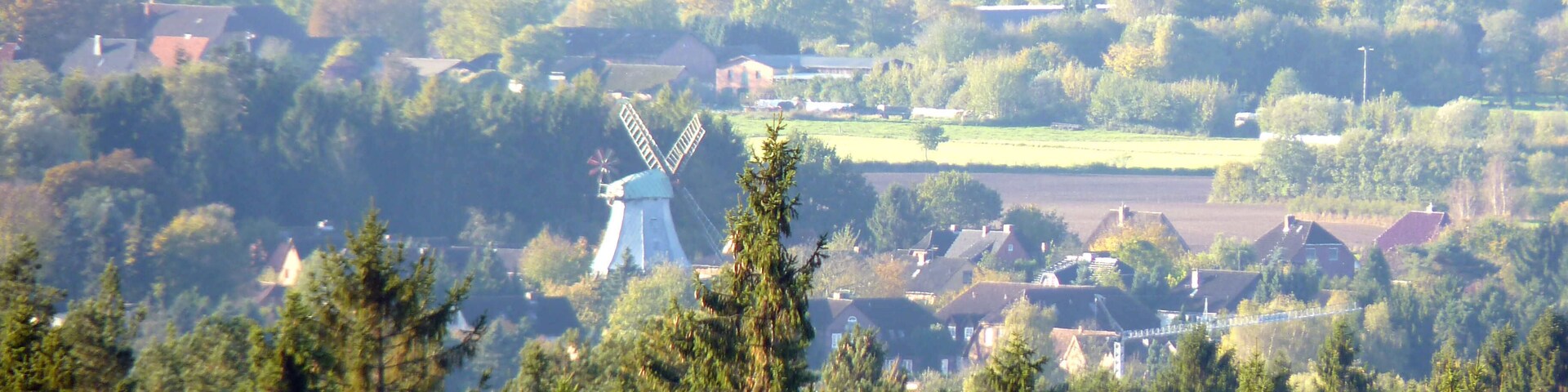 Blick vom Hahnheider Turm auf die Mühle in Hamfelde
