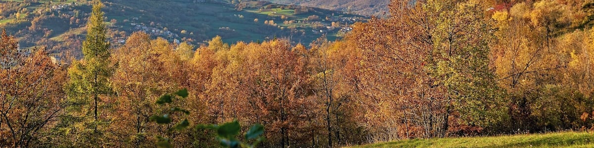 Eine Berglandschaft mit Herbstlaub, blauem Himmel und weit entfernten, schneebedeckten Gipfeln.
