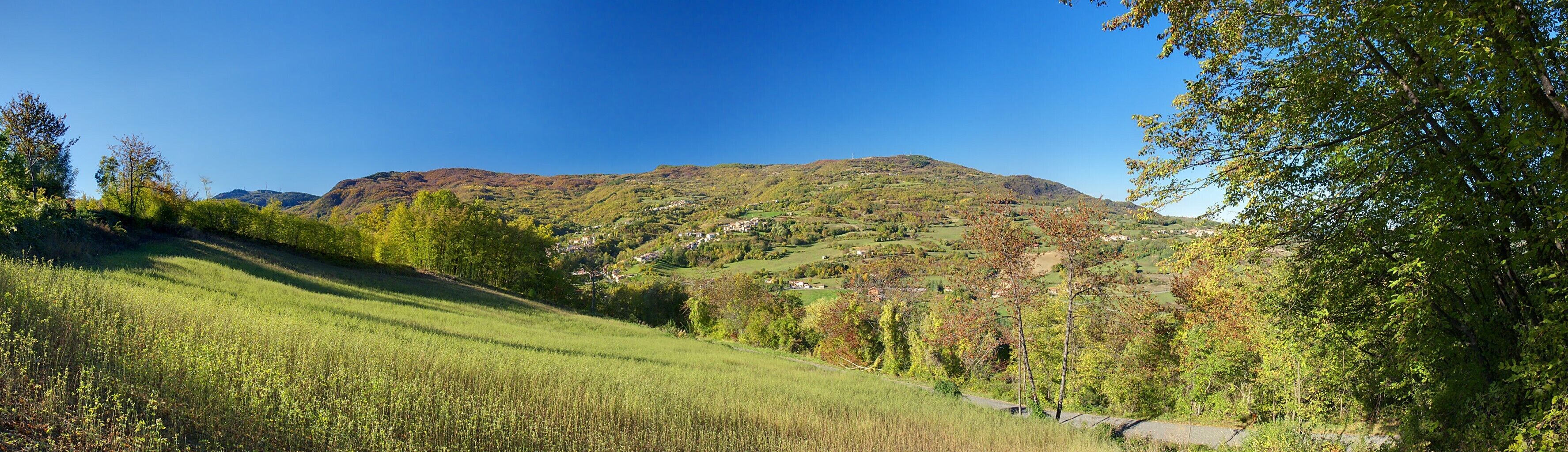 A lush green valley with rolling hills, a distant mountain range, and a clear blue sky.