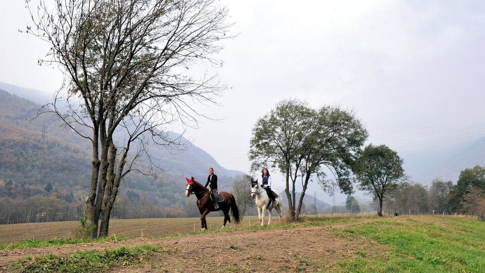 Two people riding horses on a grassy field with trees and mountains in the background.