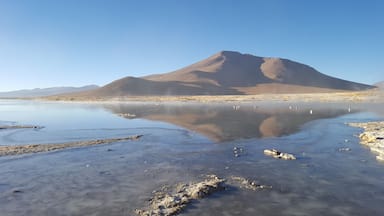 Hot springs. Bolivia